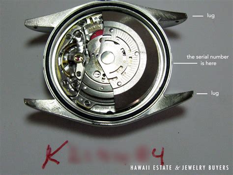 rolex serial number on band|rolex serial number engraving.